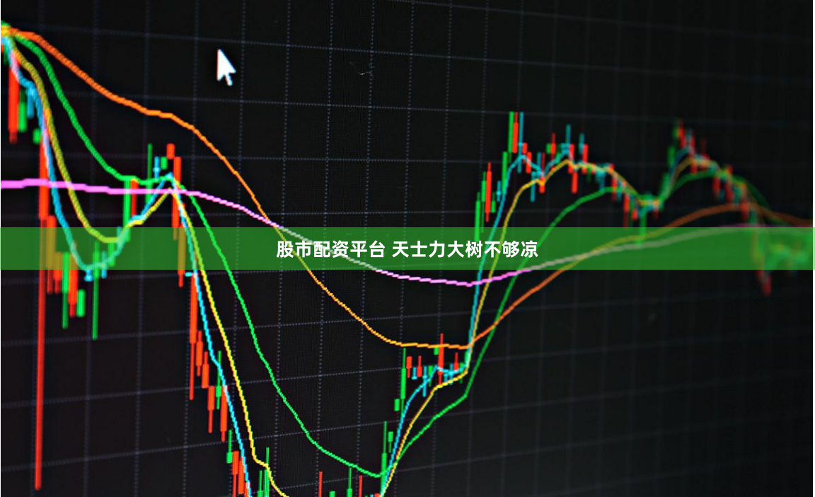 股市配资平台 天士力大树不够凉