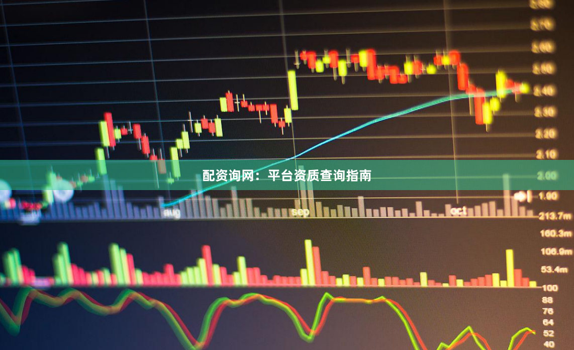 配资询网：平台资质查询指南